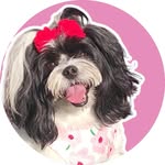 𝐙 𝐎 𝐄  𝐃 𝐔 𝐋 𝐙 𝐔 𝐑 𝐀