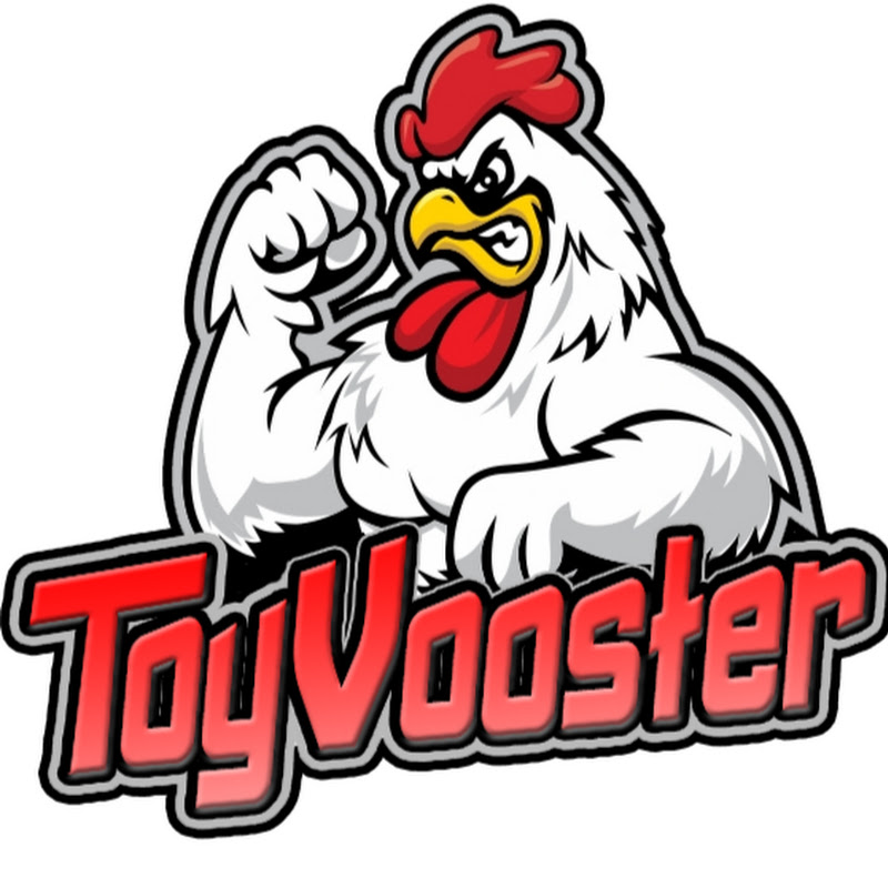 ToyVooster