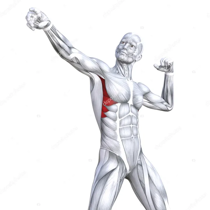 Fitness Routine