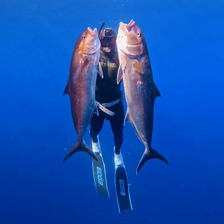 Spearfishing_fr