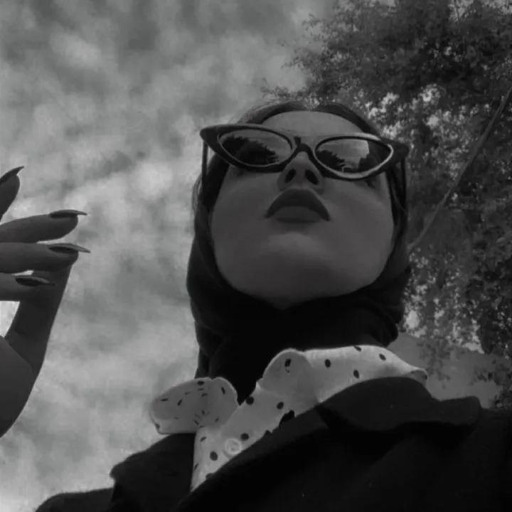 نشمـ🇯🇴يـة