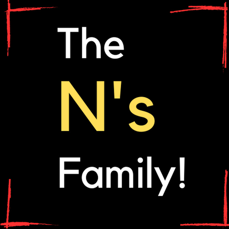 The Ns Family vlogs