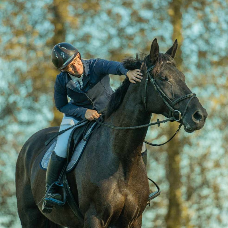 Le rêve d'une cavalière 