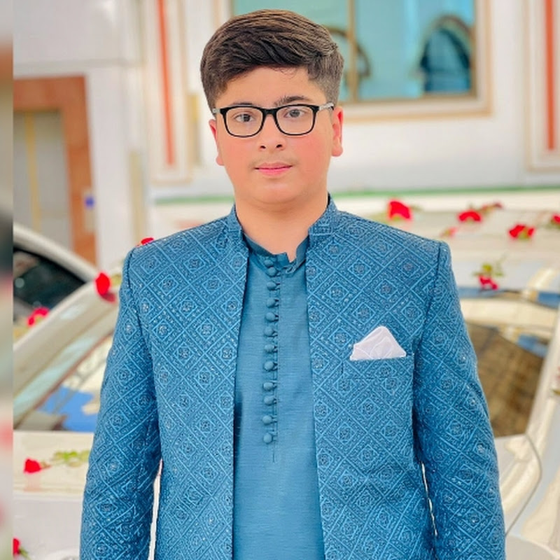 Muhammad Aarib Bhatti