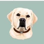 Adventures of Piper and Mabel