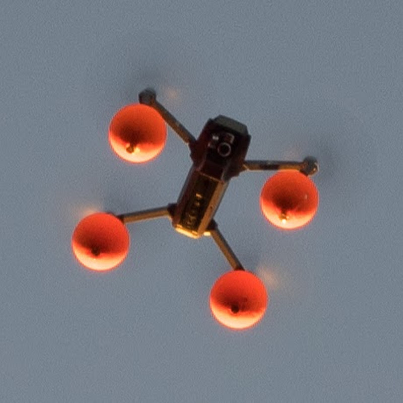 The Guy From Finland