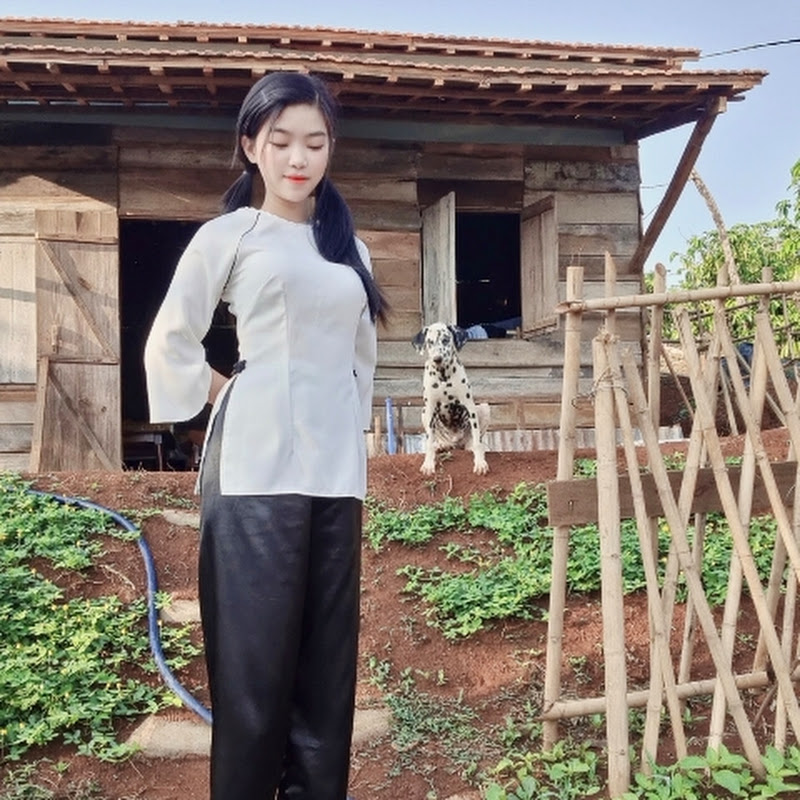 Cuộc sống dân dã 
