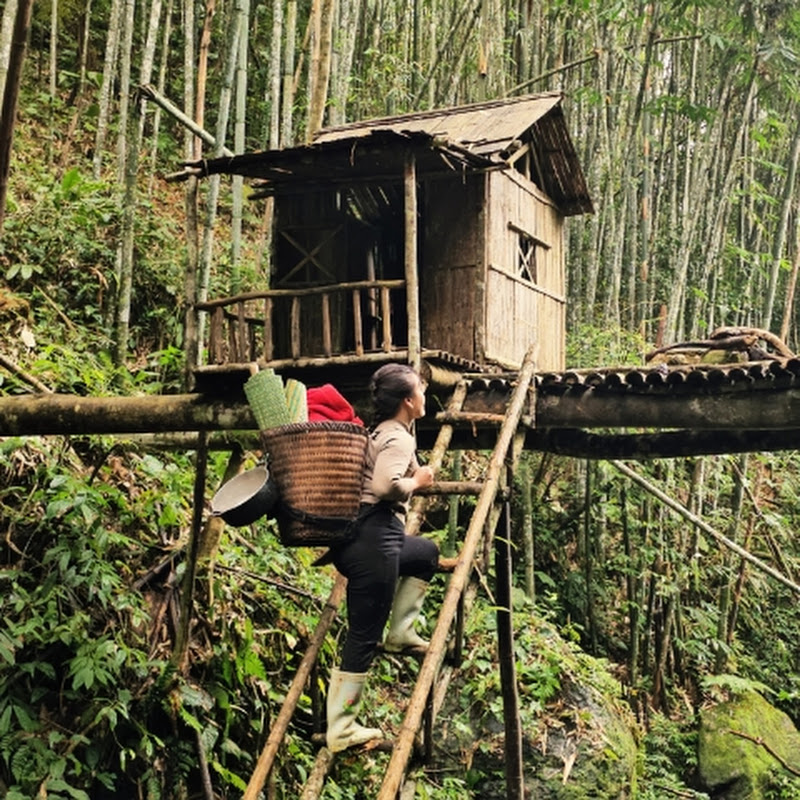 Wild Survivor Girl 22