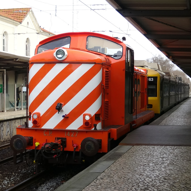 Lisbon Transport Observations