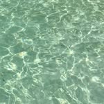 Krystal • Yoga Sharer 瑜伽生活