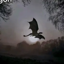 ฟอลมาฟอลกลับ🥰