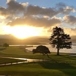 Vintage Golf Collector