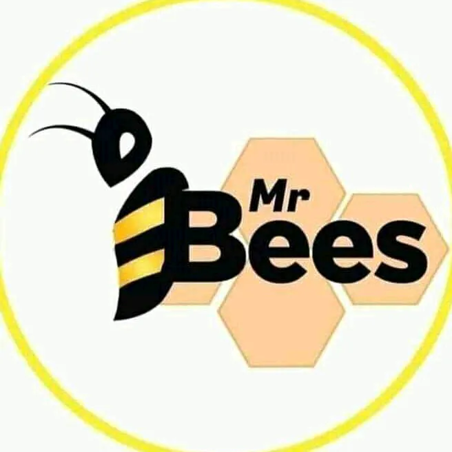 Mr bees