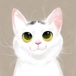 Cats of world 🐱