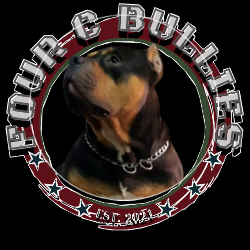 FOUR C BULLIES