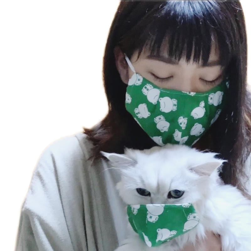 動かない蛙