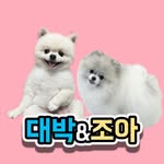 견생무상 대박조아