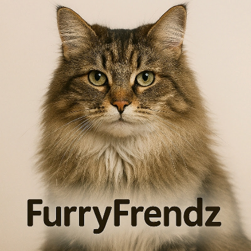 Furry Frendz 