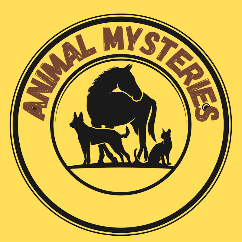 animal mysteries