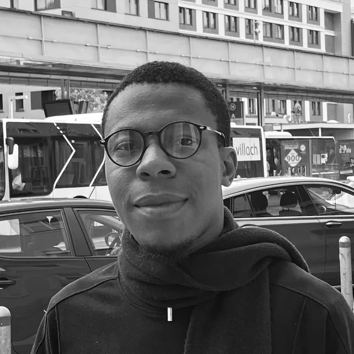 The Nigerian Model Agent 🇳🇬