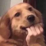 Takamin Sirijariyaporn.