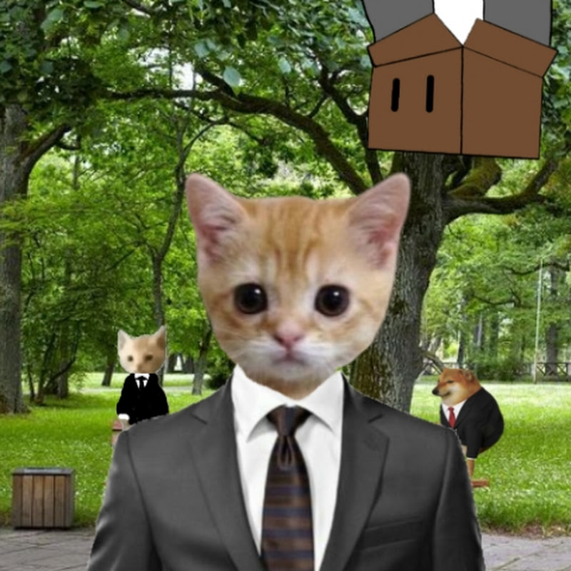 mr gato 7
