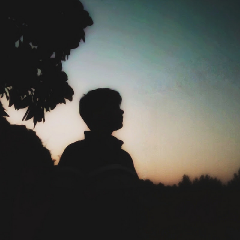 Nature stories