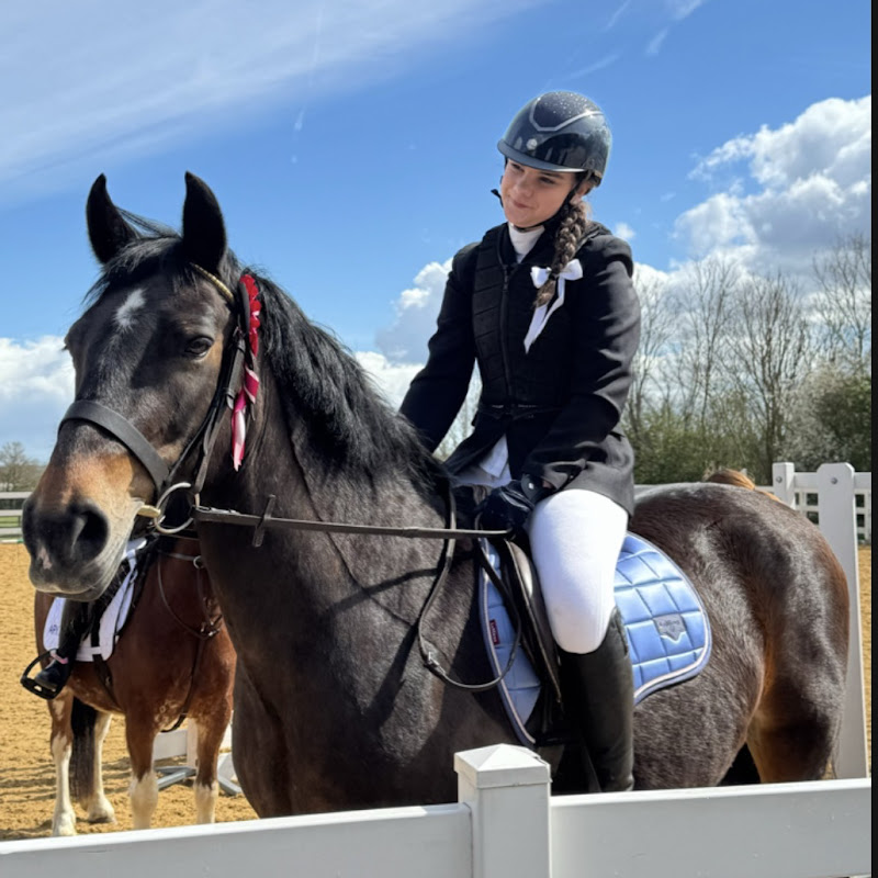 Evie's Saddle Tales