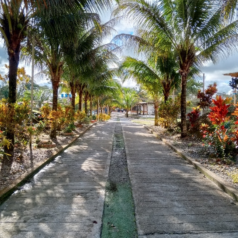 Somos Pacífico Comunicaciones