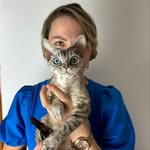 DEVON REX Kittens |  Luxury Cattery |Funny CATS