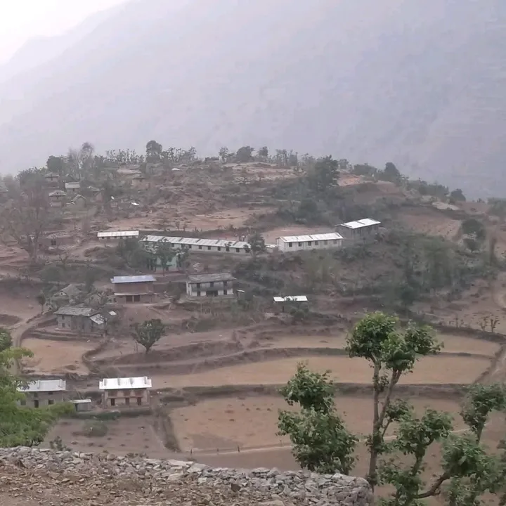 Bomkazi