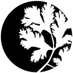 Nutra Naturals (formerly Nutra Organics)
