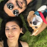 Raj, Sim & Poppins / India travel with a dog