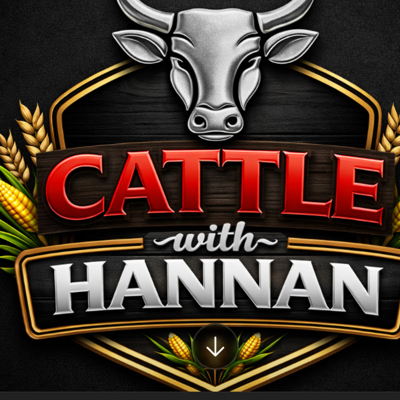 Cattle with Hannan