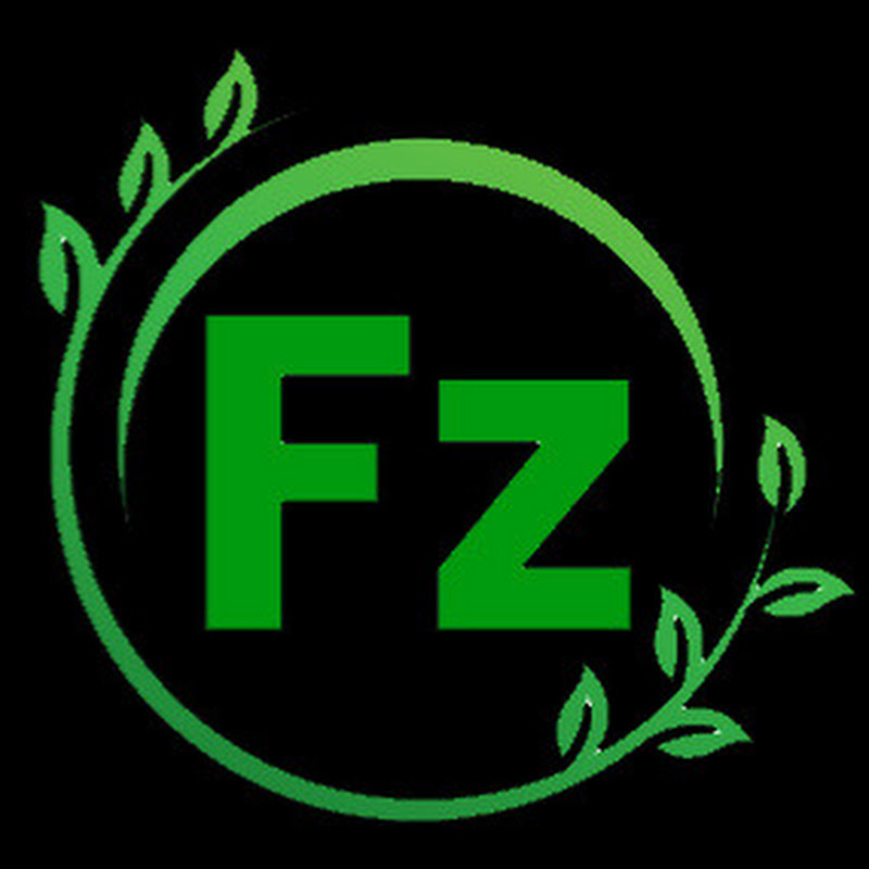 FZ aquascape ideas