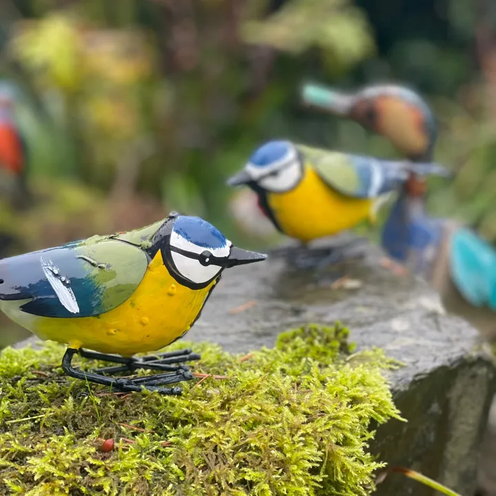 Bird Feeder 🐦‍⬛