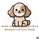 Memoirs For Pets | Dog/Cat Store + Studio