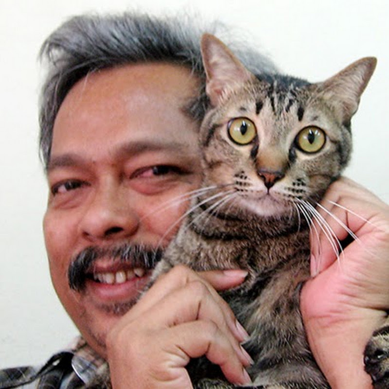 อาเสห์