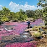 Humberto Antonio Plazas Cruz