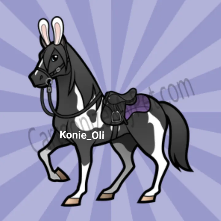 💜🐎Konie_Oli🐎💜