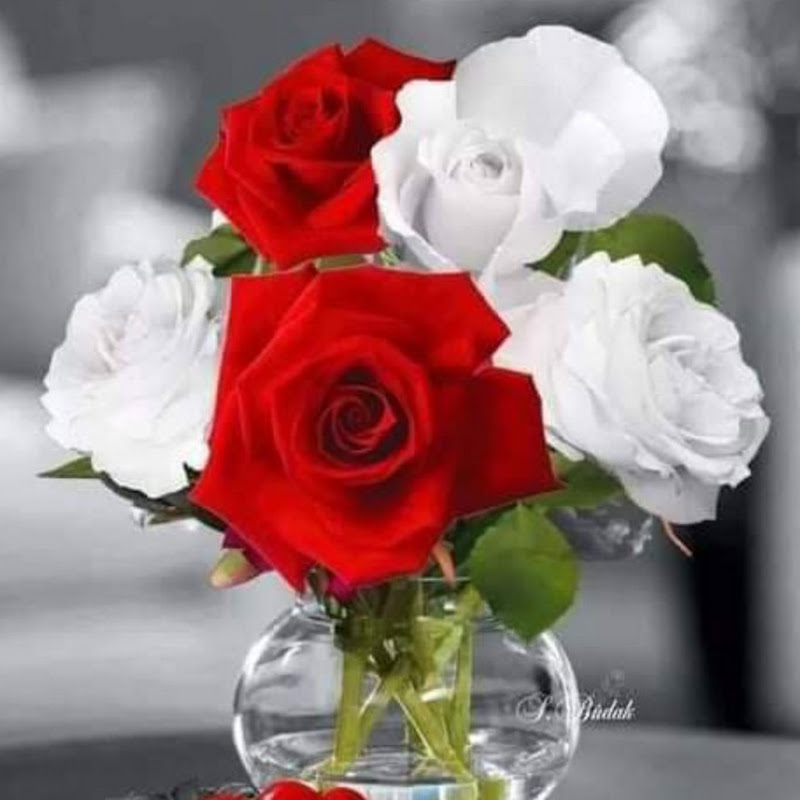 Galaxy poetry and speech