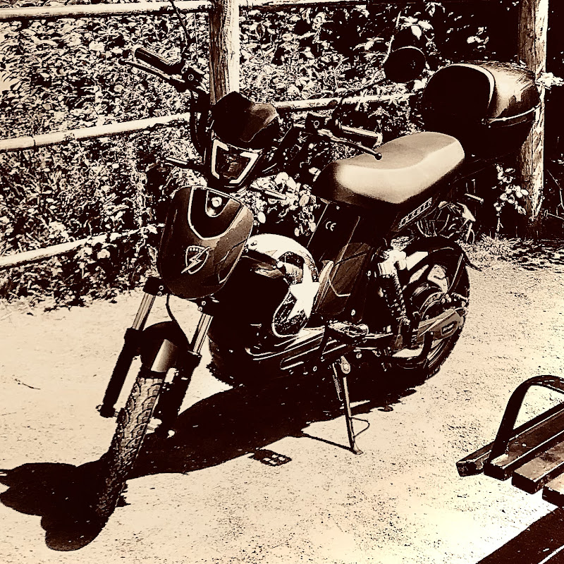 Slugs Bugs Cops & Donuts