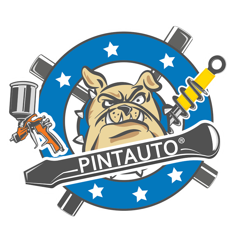Pintauto