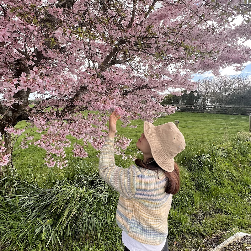 Our slow life