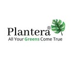 Plantera-eg