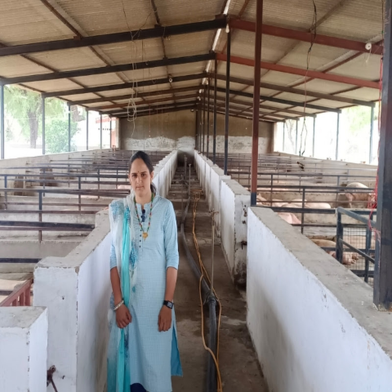Salute to farmer choice 