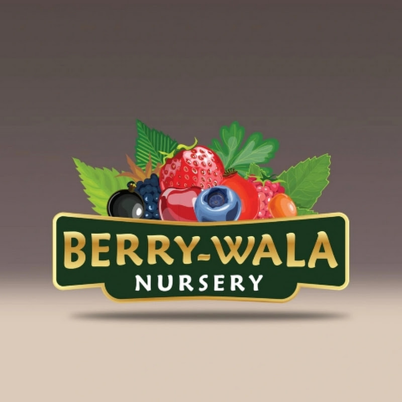 Berry wala