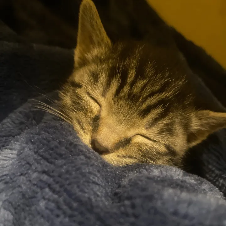 Guasson.xd.B) 🤫🧏‍♂️