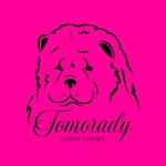 Tomorady
