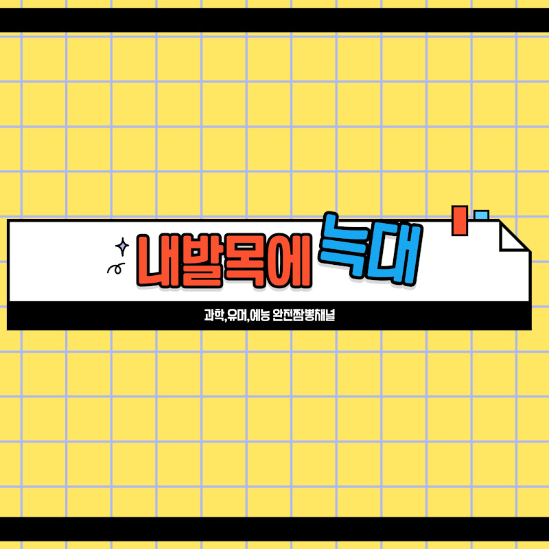 내발목